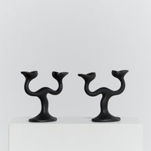 Load image into Gallery viewer, Robert Welch Sea Drift candelabras in Black
