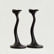 Load image into Gallery viewer, Robert Welch Sea Drift candlesticks  - HIRE ONLY
