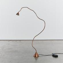 Load image into Gallery viewer, Sergio Calatroni&#39;s Papyrus floor lamps in copper
