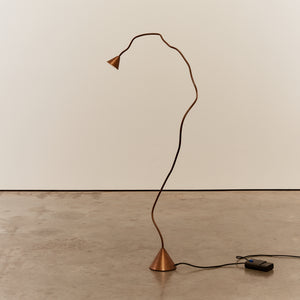 Sergio Calatroni's Papyrus floor lamps in copper