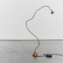 Load image into Gallery viewer, Sergio Calatroni&#39;s Papyrus floor lamps in copper
