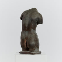 Load image into Gallery viewer, Patinated Venus torso sculpture
