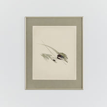 Load image into Gallery viewer, Numbered print by Herbert Bessel in green steel frame
