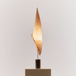 Wo Tum Bu 2 lamp by Ingo Maurer