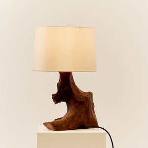 Sculptural root table lamp