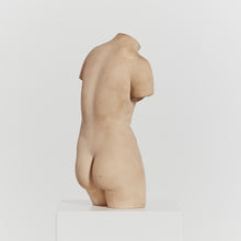 Load image into Gallery viewer, Venus torso sculpture
