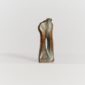 Solid bronze organic form sculpture