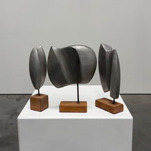 Load and play video in Gallery viewer, Trio of cast aluminium sculptures
