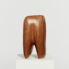 Load image into Gallery viewer, Large abstract Dutch teak sculpture

