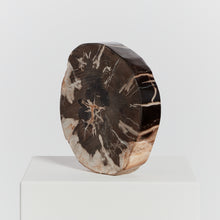 Load image into Gallery viewer, Petrified wood bowl
